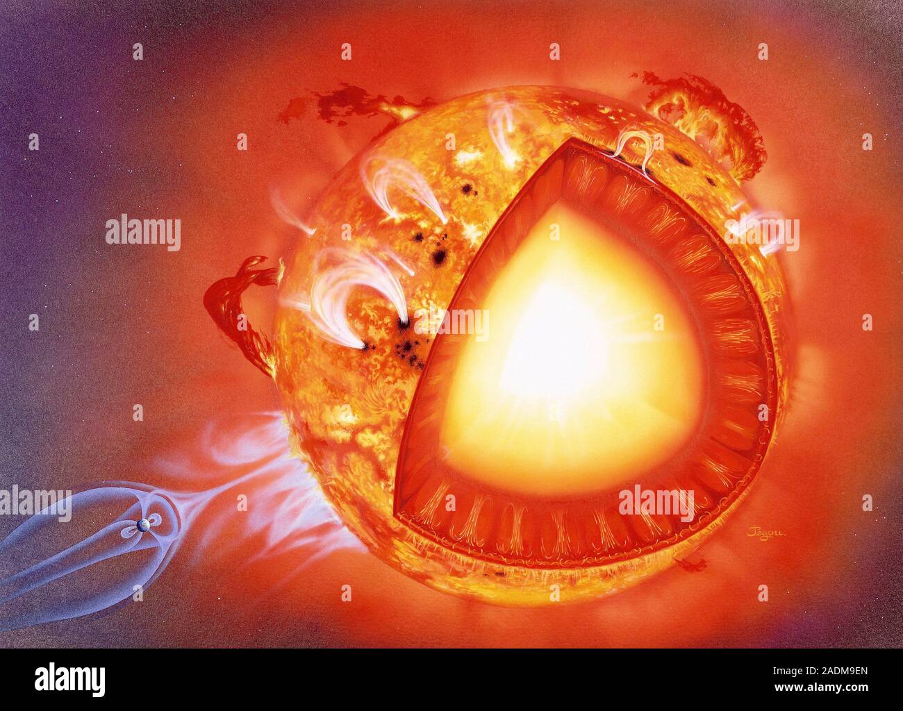 Estructura Solar. Ilustración seccionada del Sol ilustrando su estructura.  En el núcleo del sol (blanco) los átomos de hidrógeno se someten a la  fusión nuclear, produciendo hel Fotografía de stock - Alamy