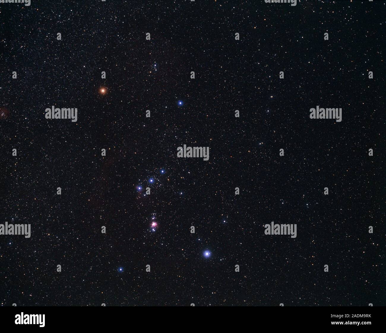 La constelación de Orión, el cazador. Orion es una de las