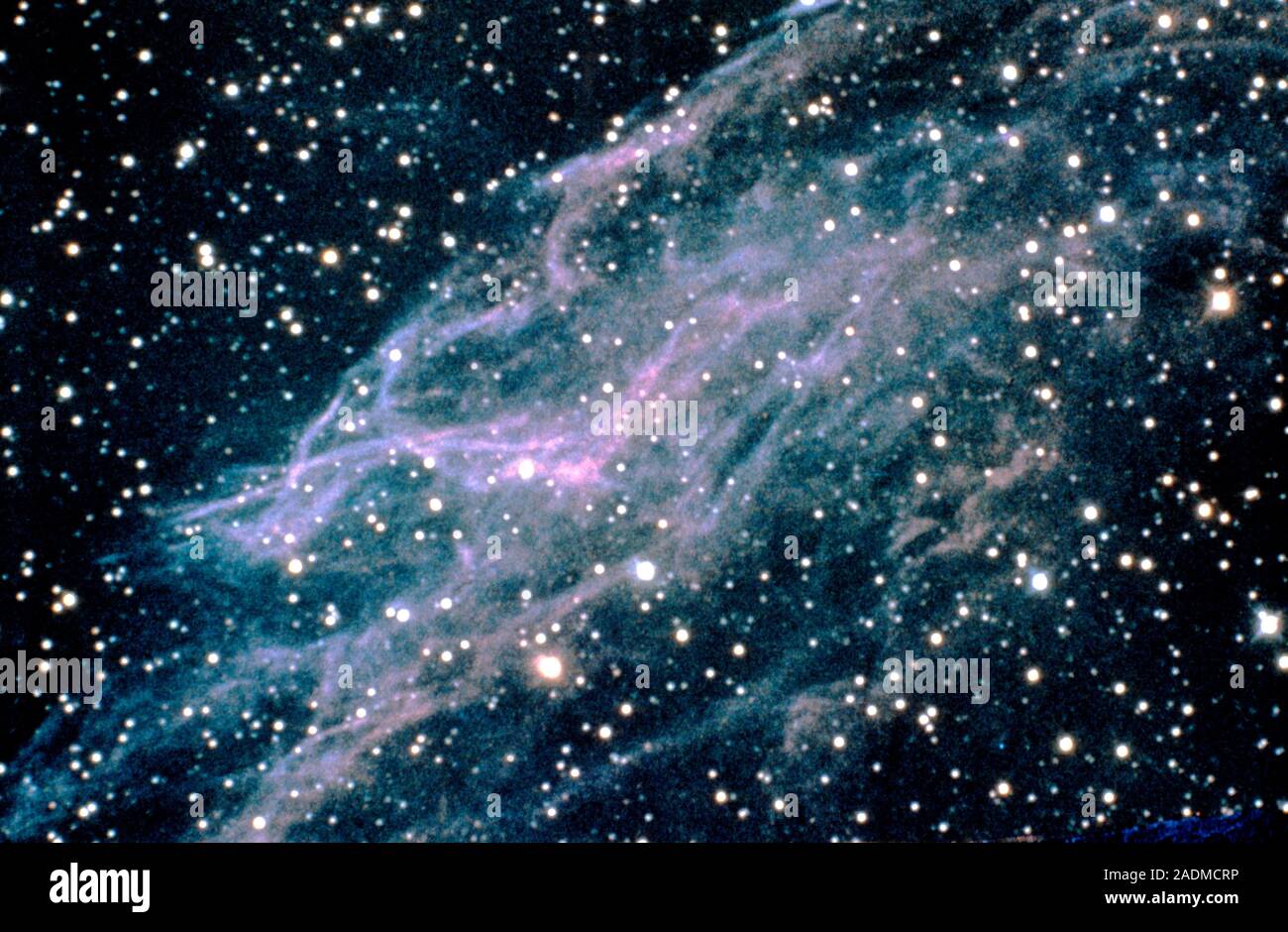 Fotografía óptica del Velo Nebula (Nebulosa Cirrus, NGC 6979), forma parte  de una enorme remanentes de supernova anulares que se encuentra en la  constelación de Cygn Fotografía de stock - Alamy