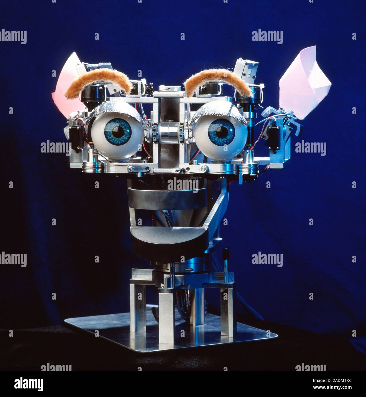 Kismet robot. Vista de Kismet, un robot que respo- nds con expresiones  faciales para acciones, mostrando sorpresa. Kismet ha sido desarrollado  para el estudio o Fotografía de stock - Alamy