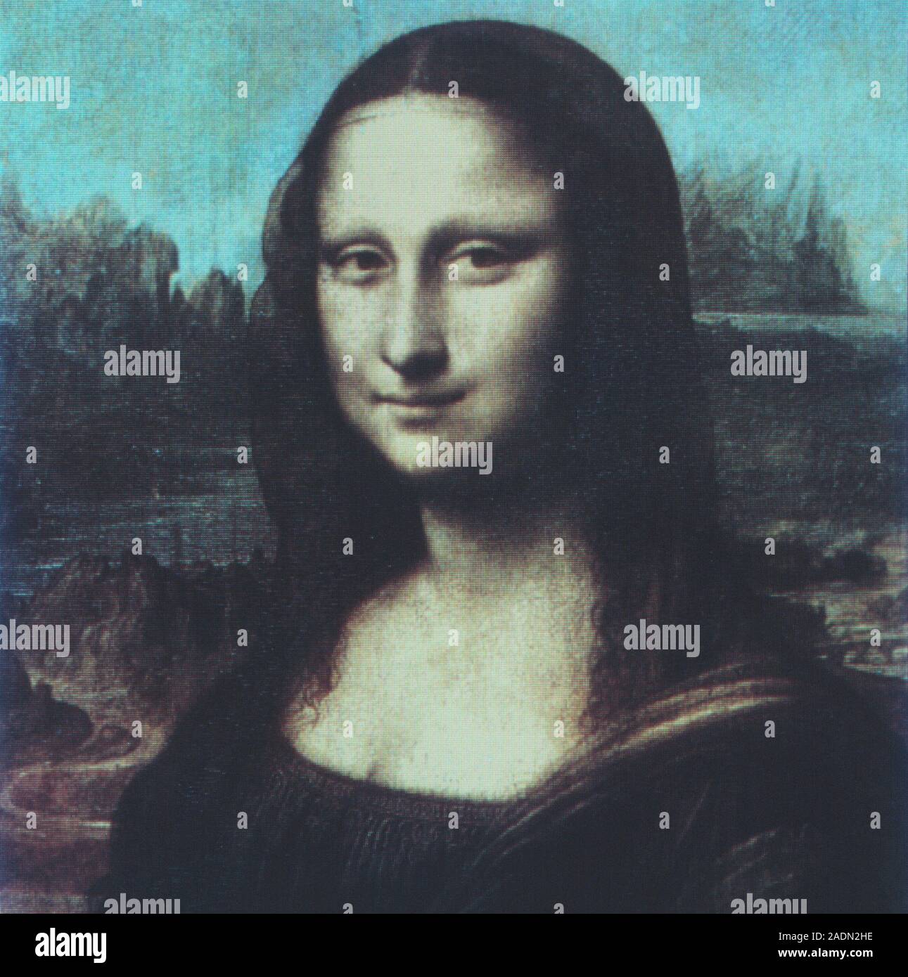 Versión informática de sonrisa probablemente el más famoso de la historia  del arte: Mona Lisa, también conocida como La Gioconda, que fue pintado por  el italiano artis Fotografía de stock - Alamy