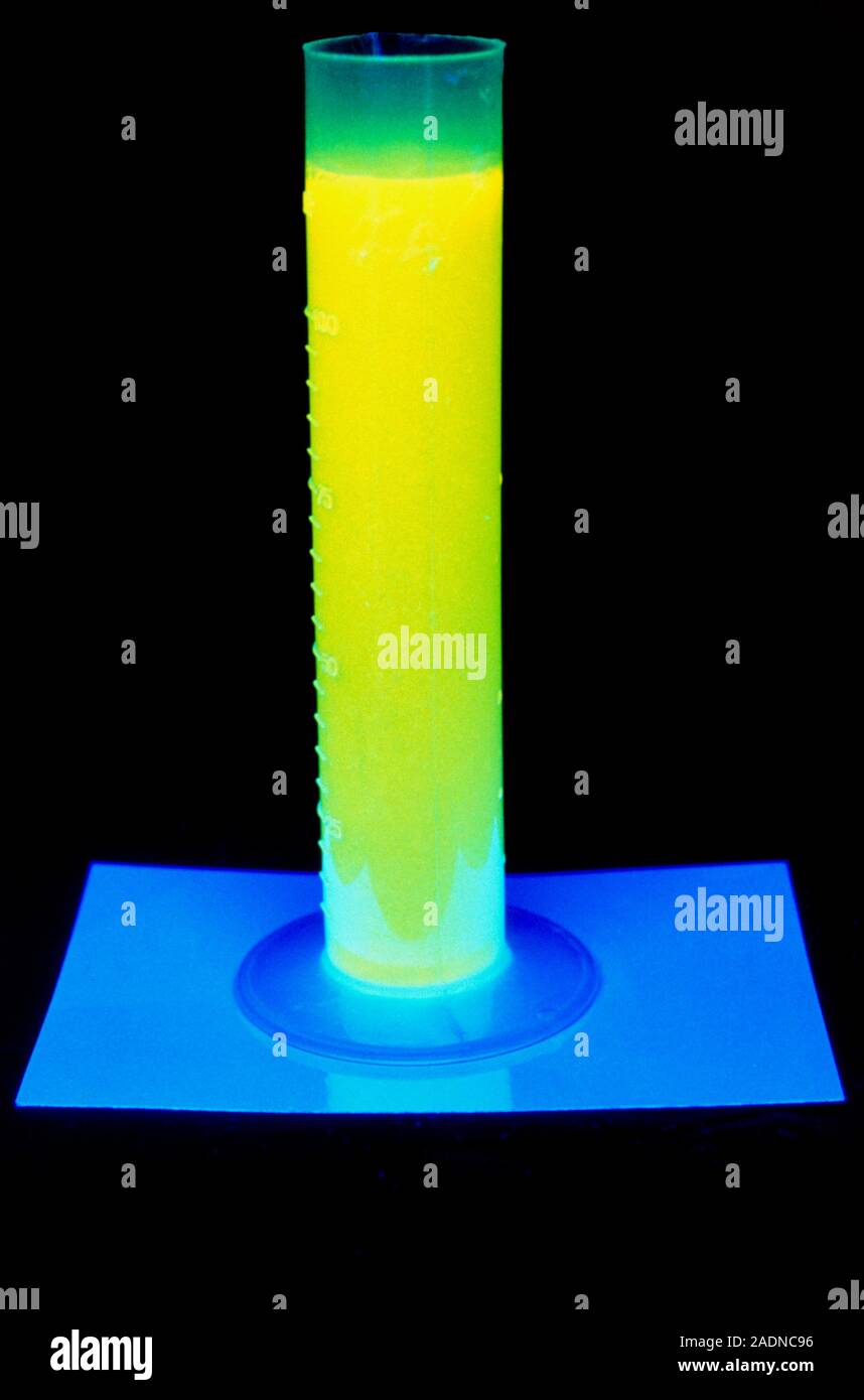 Tubo de ensayo fluorescente. Tubo de ensayo que contiene un químico fluorescente iluminado en color verde. La fluorescencia se produce cuando las moléculas el fluorescentes chemi Fotografía de stock -
