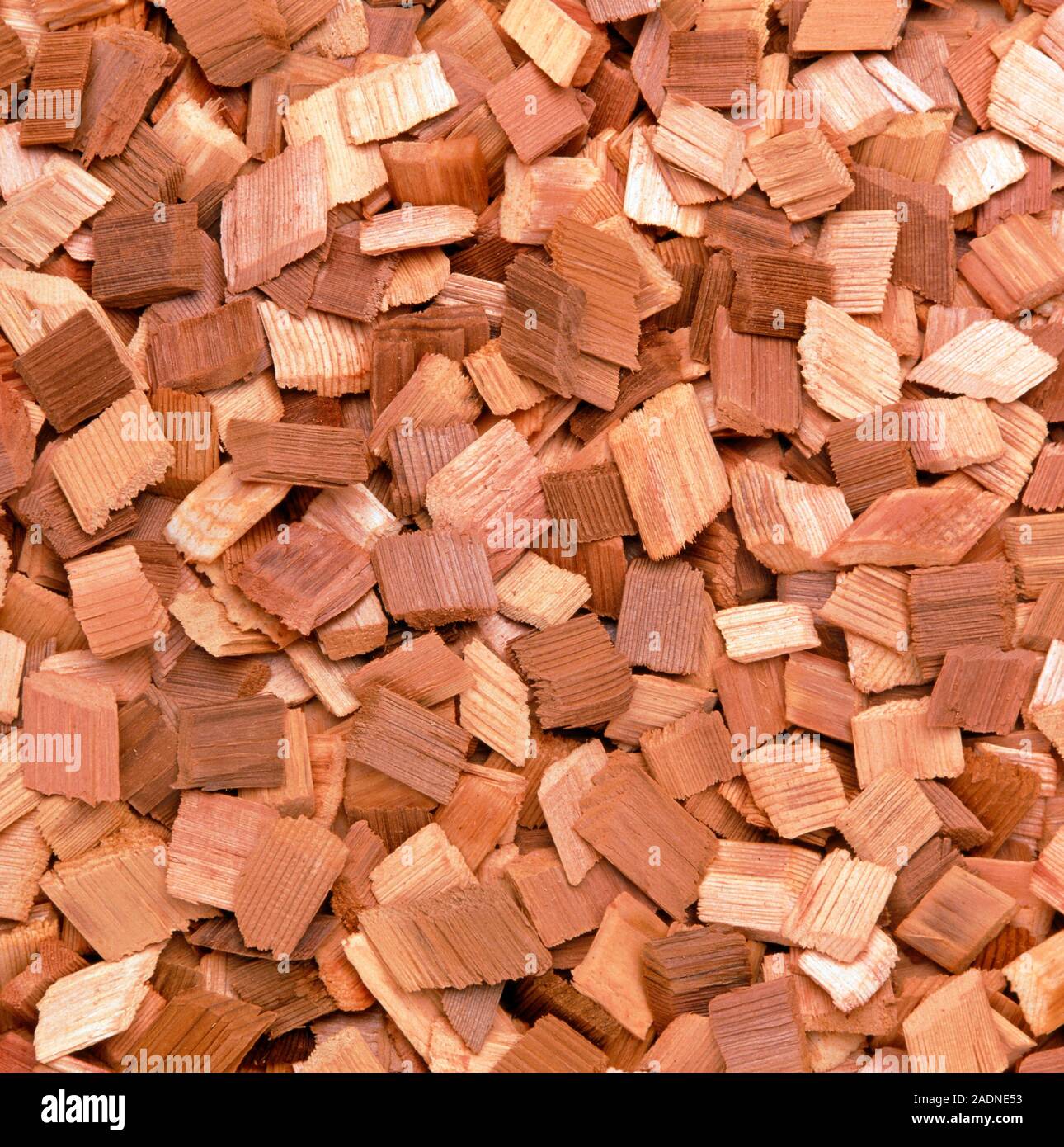 Astillas De Madera. Virutas de madera en una fábrica de papel. El papel  está hecho a partir de las fibras de celulosa en la madera. Las materias de  madera astillada y alimentado