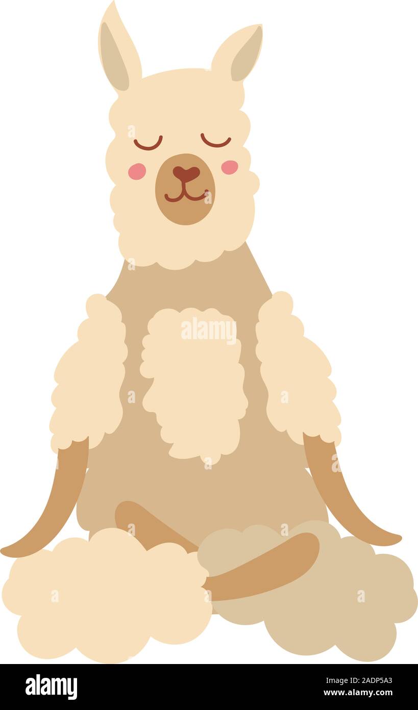 Cartoon lama realizar ejercicio de yoga. Alpaca cartoon personaje sentado en la postura de loto y meditar la Meditación Vipassana aislados. Colorida ilustración vectorial plana Ilustración del Vector