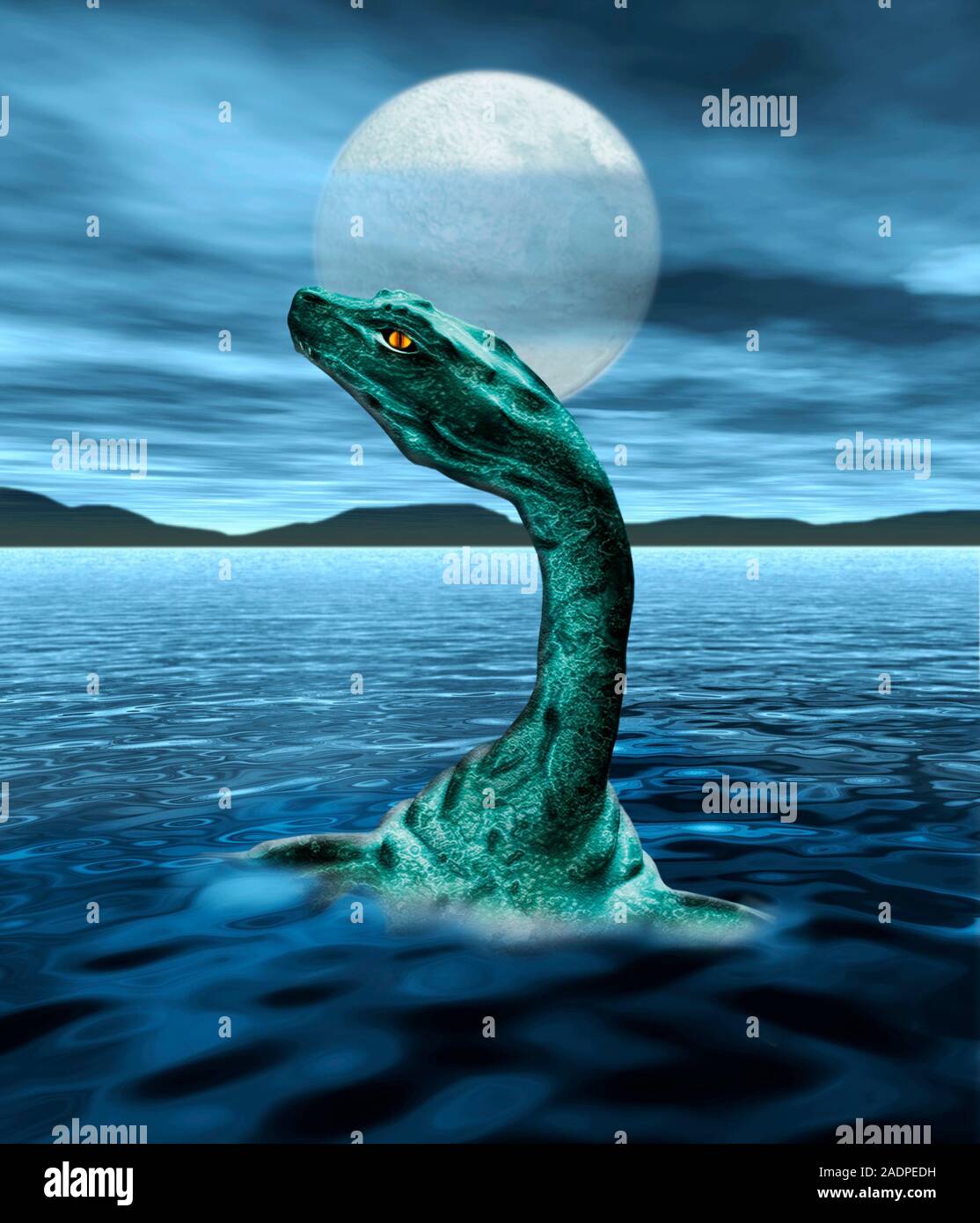 El monstruo de Loch Ness. Equipo de ilustraciones de El monstruo del Lago  Ness nadando en el Lago Ness, en Escocia, en una Luna Llena. Los  avistamientos del monstruo se han producido