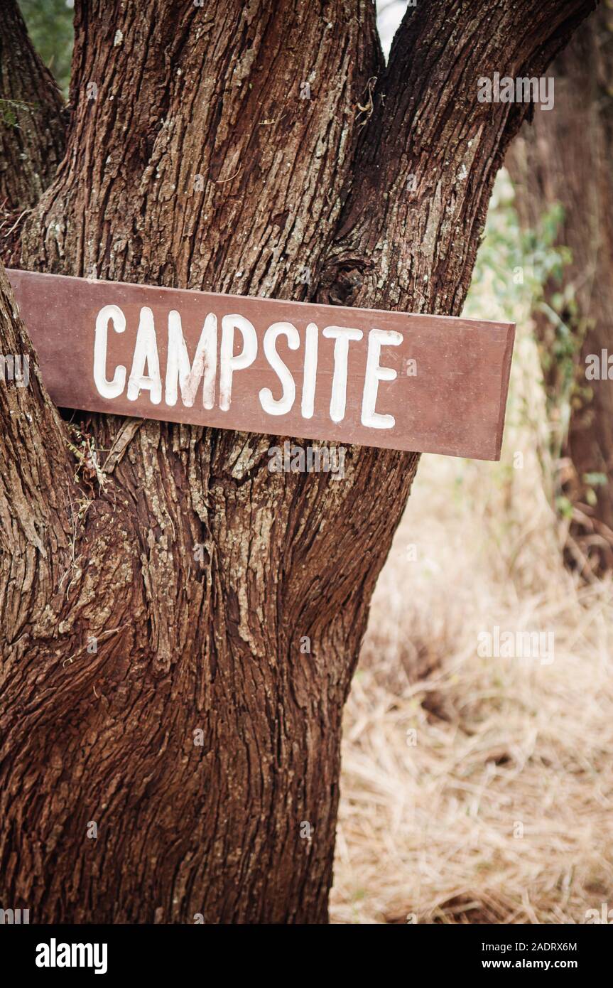 Vintage antiguo camping madera firmar stick en gran árbol en el bosque de  sabana - Concepto de camping Safari Fotografía de stock - Alamy