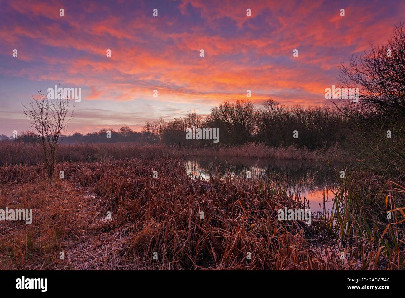 Barton-upon-Humber, Norte de Lincolnshire, Reino Unido. 5 de diciembre de 2019. El clima del REINO UNIDO: Amanecer sobre una reserva natural, en una mañana de invierno en diciembre. Crédito: LEE BEEL/Alamy Live News. Foto de stock