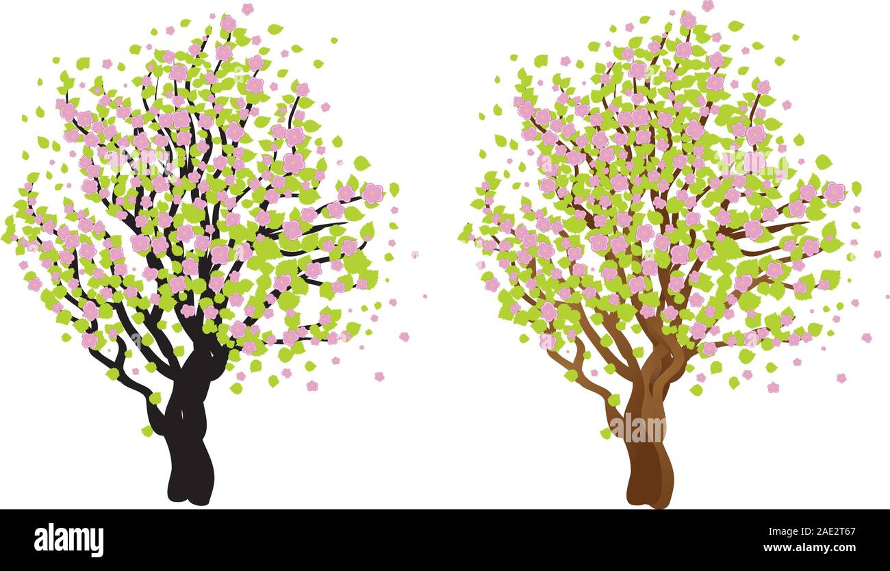 Ilustracion De Cerezo Japones Con Flor Arbol De Sakura Imagen Vector De Stock Alamy
