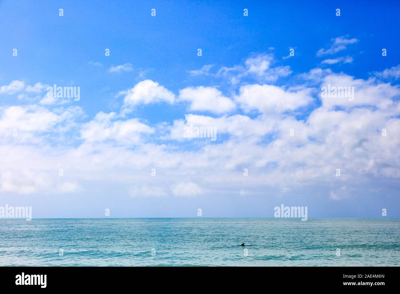 Agua, cielo azul, nubes y un poco de delfín, Florida, EE.UU. Foto de stock