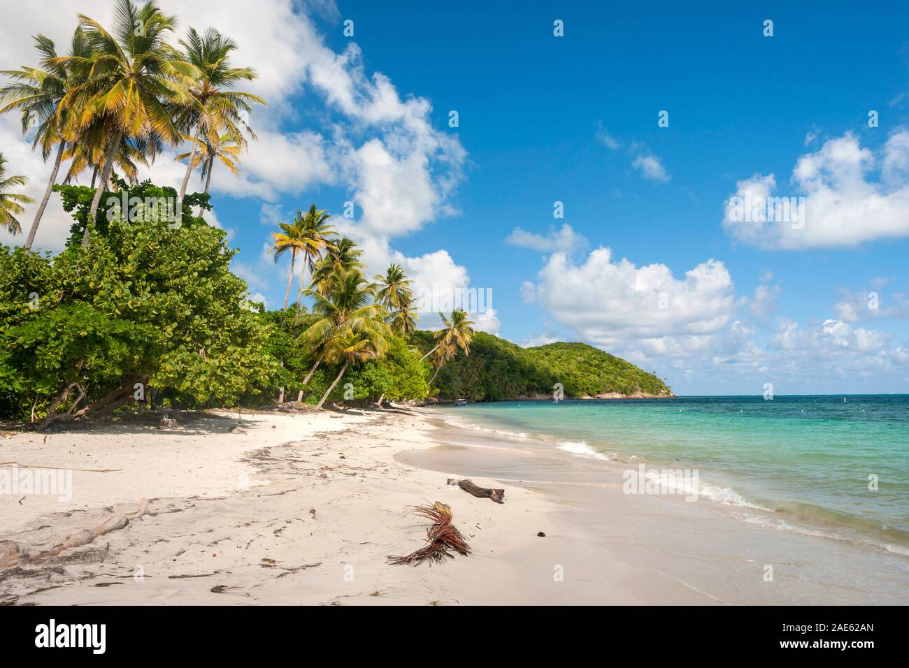 Manzanillo Beach en la isla de Providencia en Colombia. Foto de stock