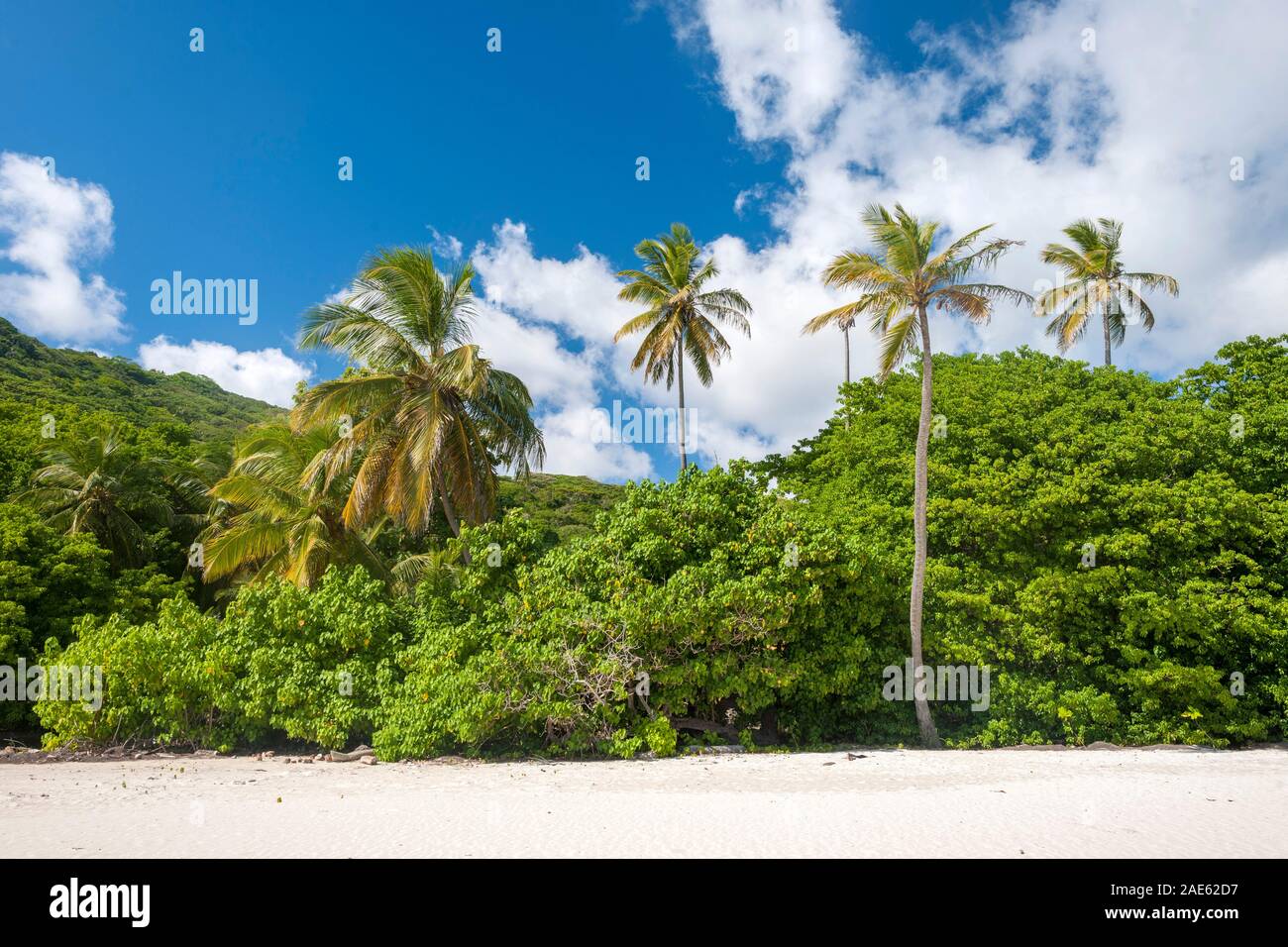Manzanillo Beach en la isla de Providencia en Colombia. Foto de stock