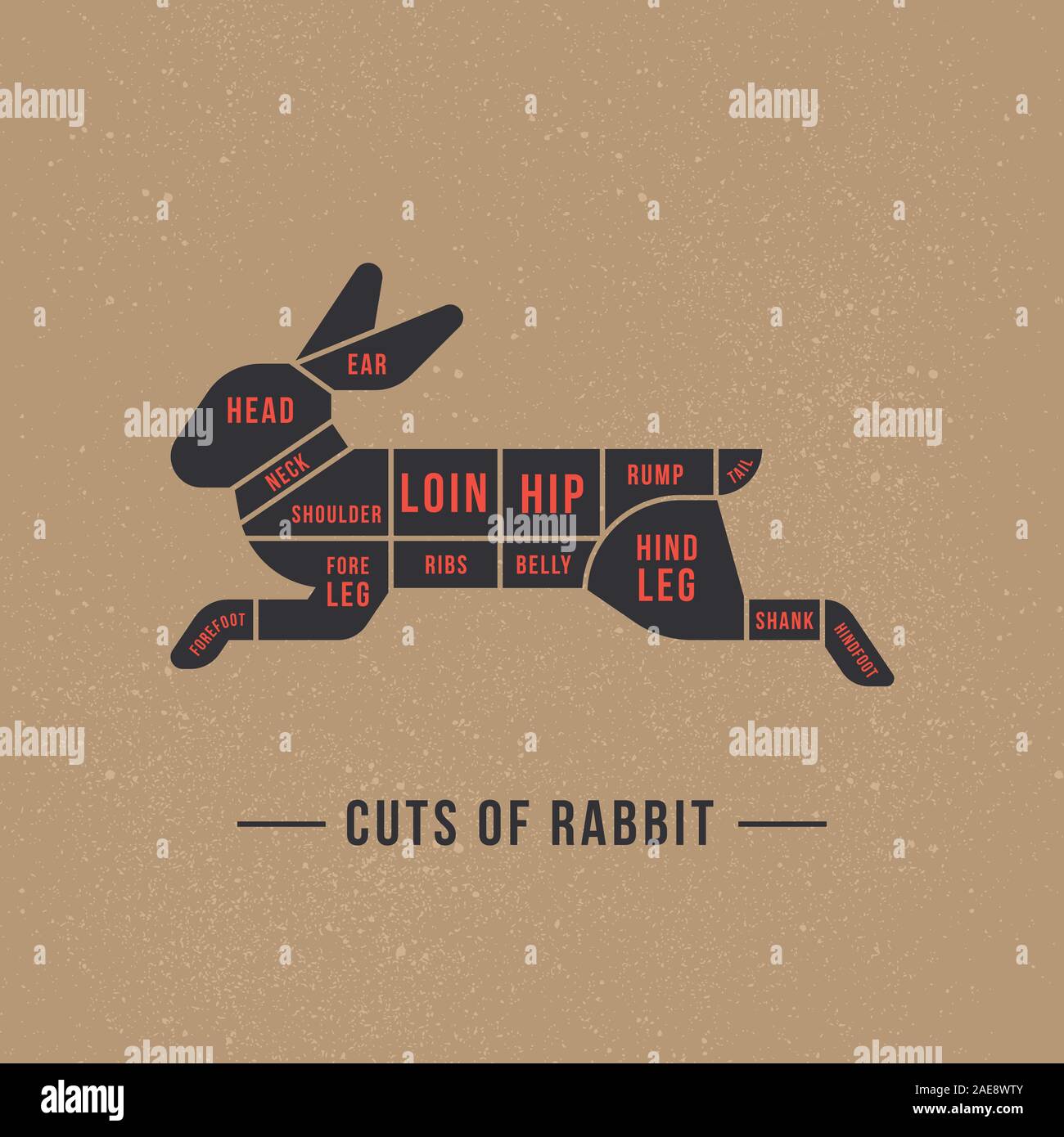 El diagrama de corte de un conejo. Ilustración del Vector