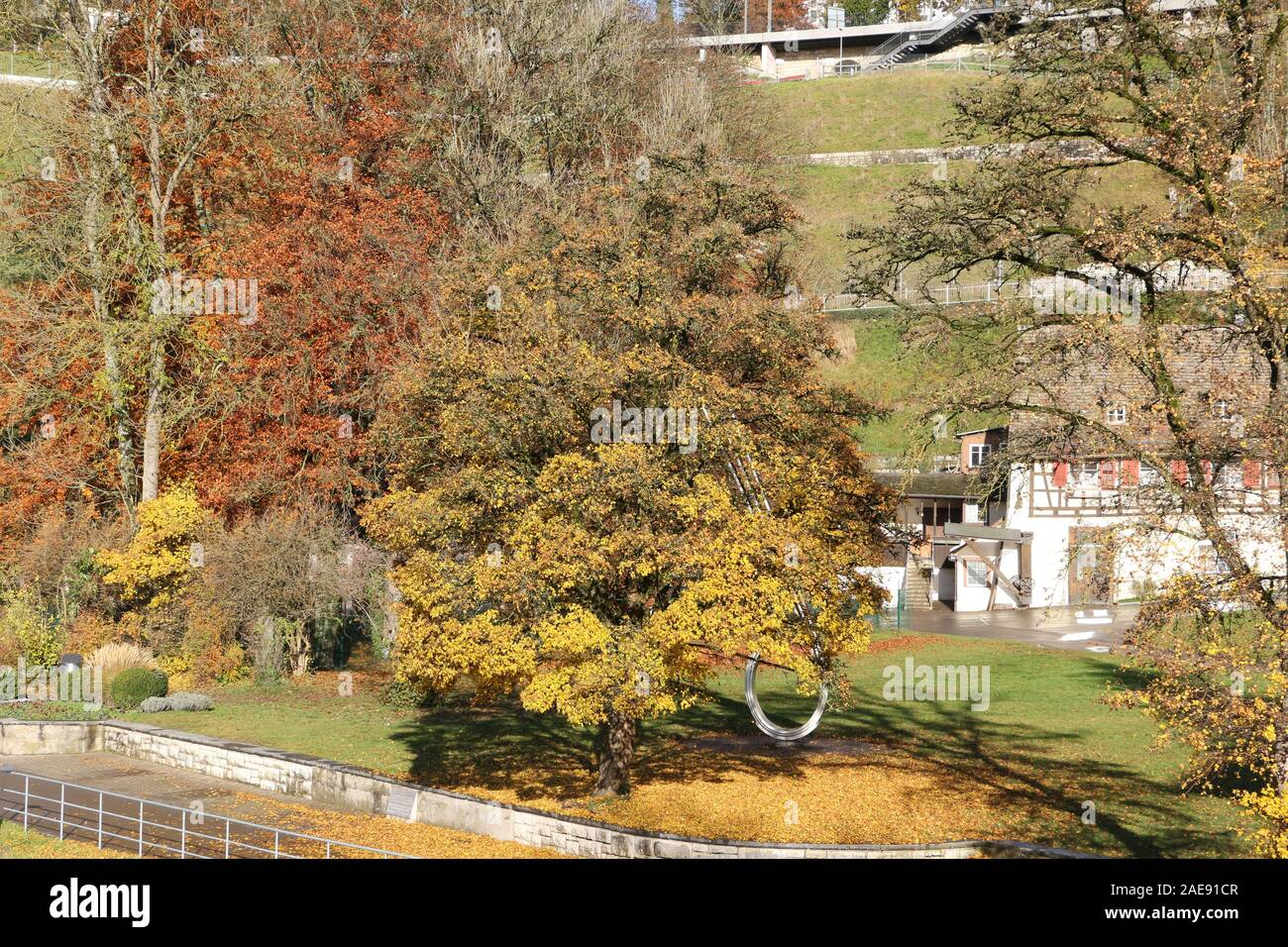 Herbstlandschaft am Rheinfall von Schaffhausen in der Schweiz Foto de stock