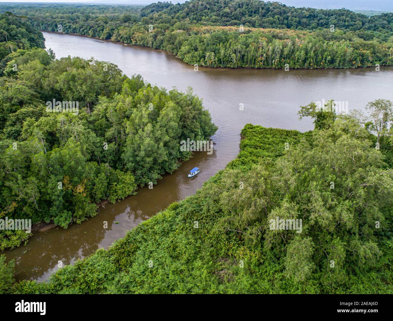 Vista aérea del barco en el río de manglar del Río Sierpe en Costa Rica en lo profundo de la selva. Foto de stock