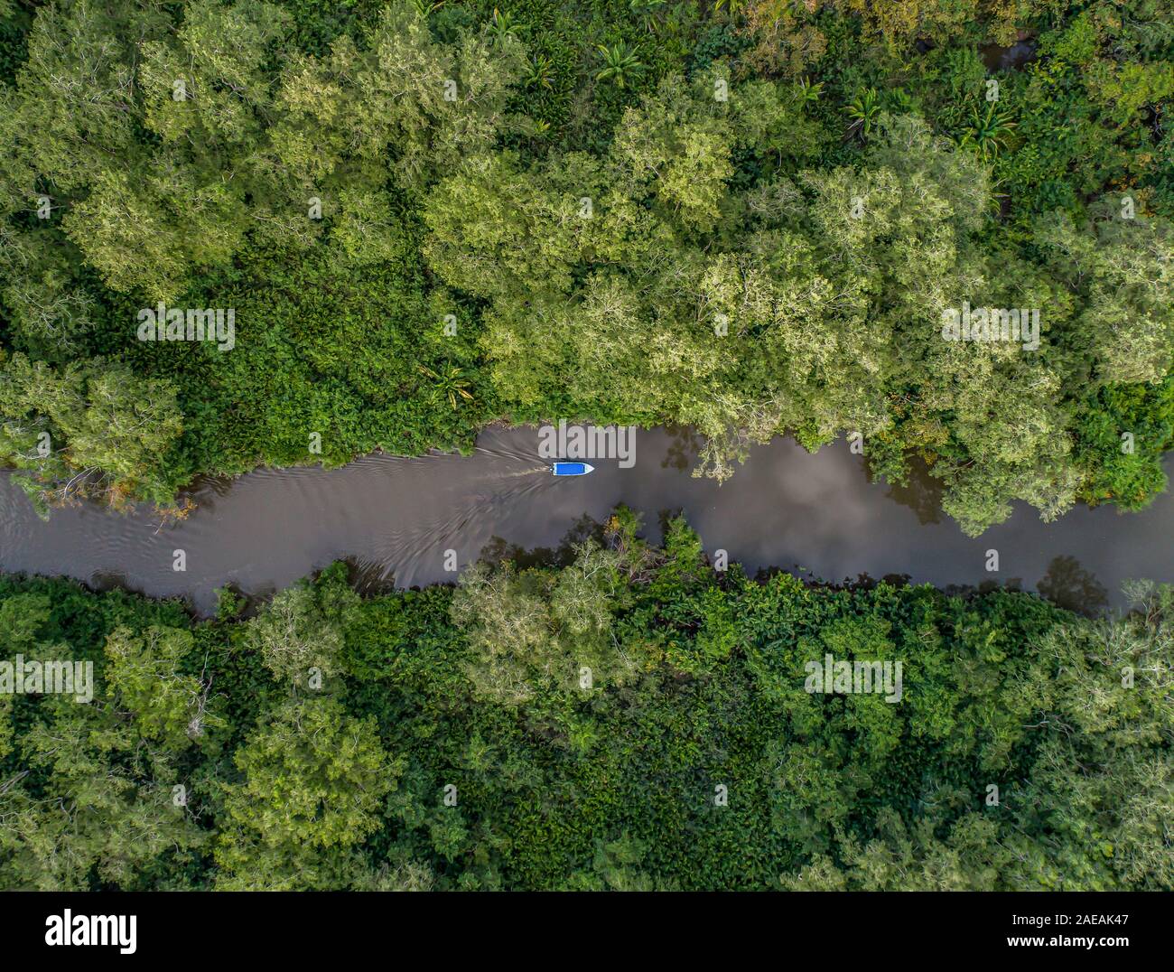 Vista aérea del barco en el río de manglar del Río Sierpe en Costa Rica en lo profundo de la selva. Foto de stock