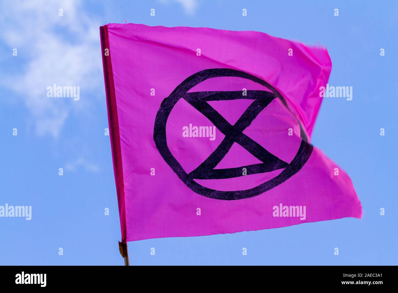 Símbolo de la bandera rosa de la Rebelión de extinción. Campaña de activistas para proteger el medio ambiente y el planeta Foto de stock