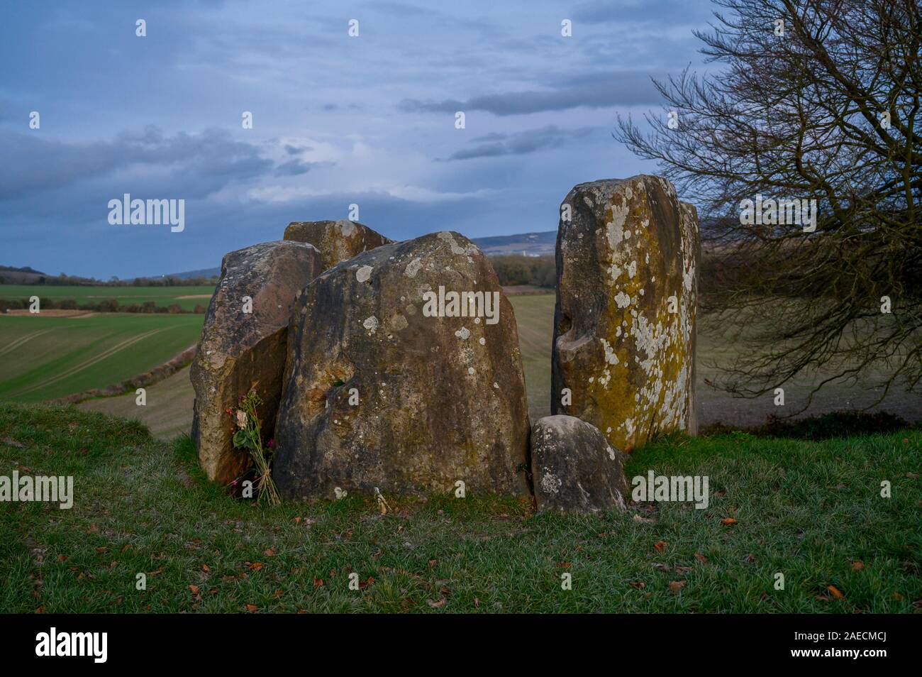 Coldrum Longbarrow, piedras y cámara de enterramiento neolítico en Trottiscliffe, Kent, uno de los megalitos Medway junto con Cristóbal Coty Foto de stock