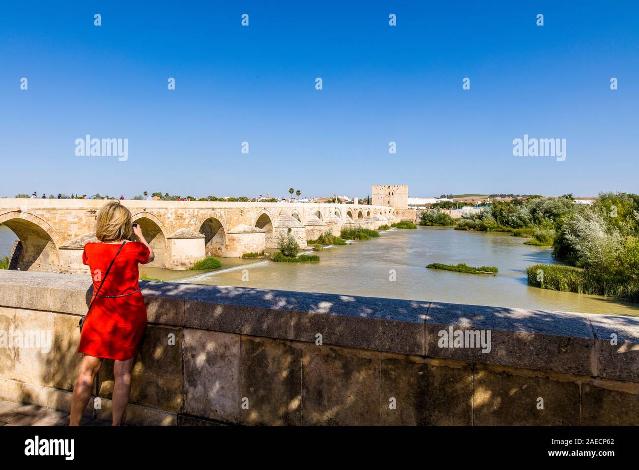 El puente romano en el río Guadalquivir, en Córdoba, en la región de Andalucía de España Foto de stock
