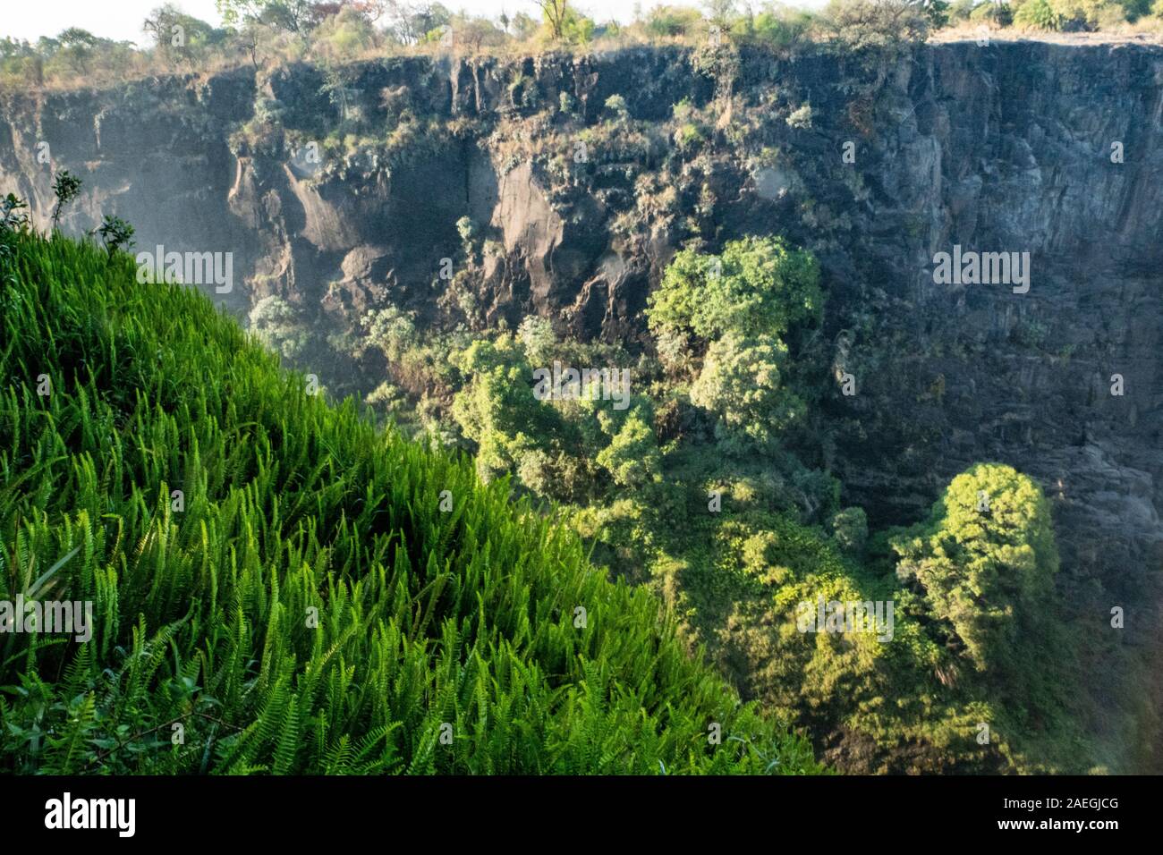Victoria Falls, nombrado por David Livingstone en 1855 después de la Reina Victoria, la cascada formada por el río Zambezi, caer en una profundidad de 100 metros ch Foto de stock