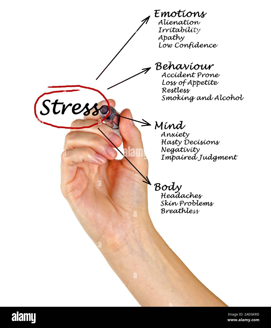 Diagrama De Consecuencias Del Estrés Fotografía De Stock Alamy 1965
