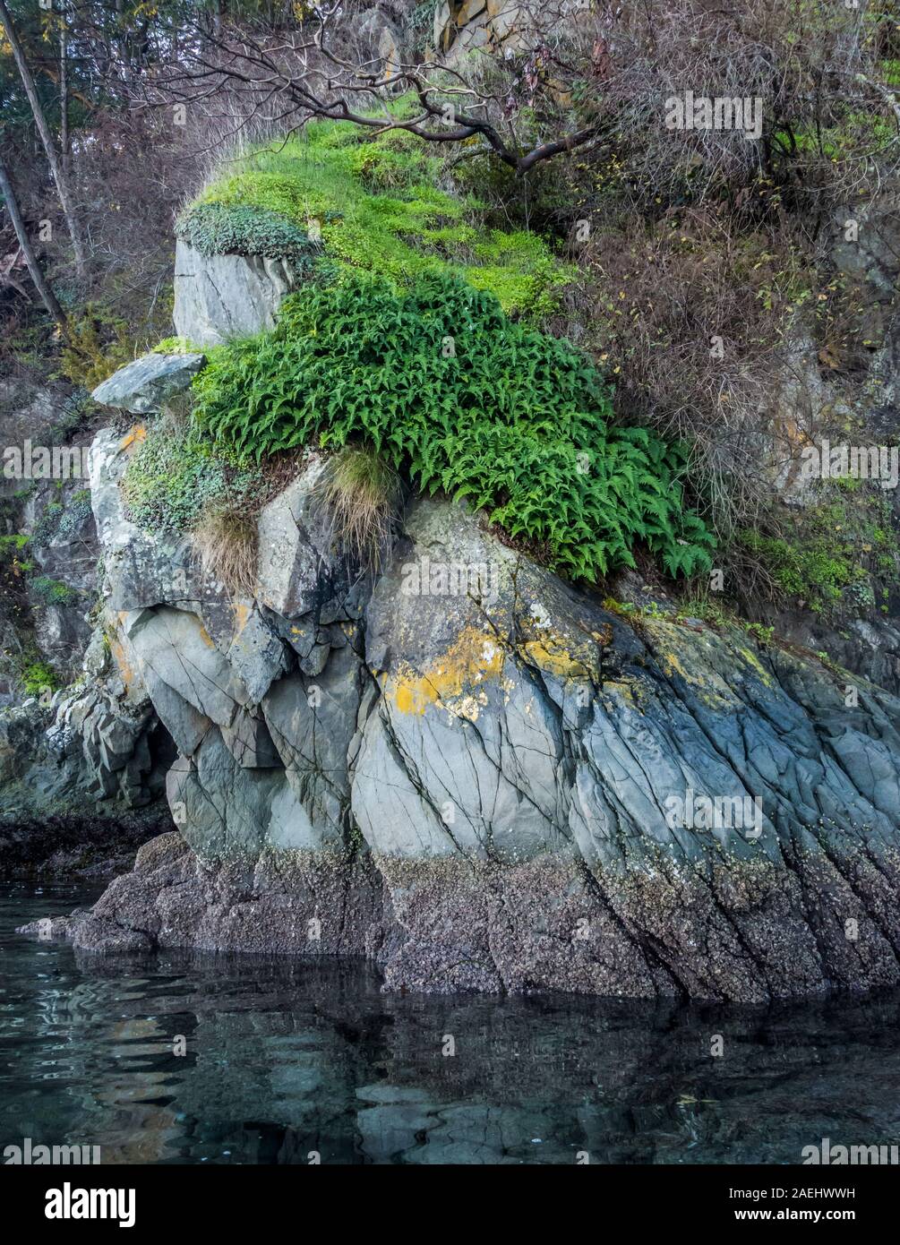 Un afloramiento rocoso en la orilla de la segunda isla hermana en las islas del Golfo de British Columbia, Canadá. Foto de stock