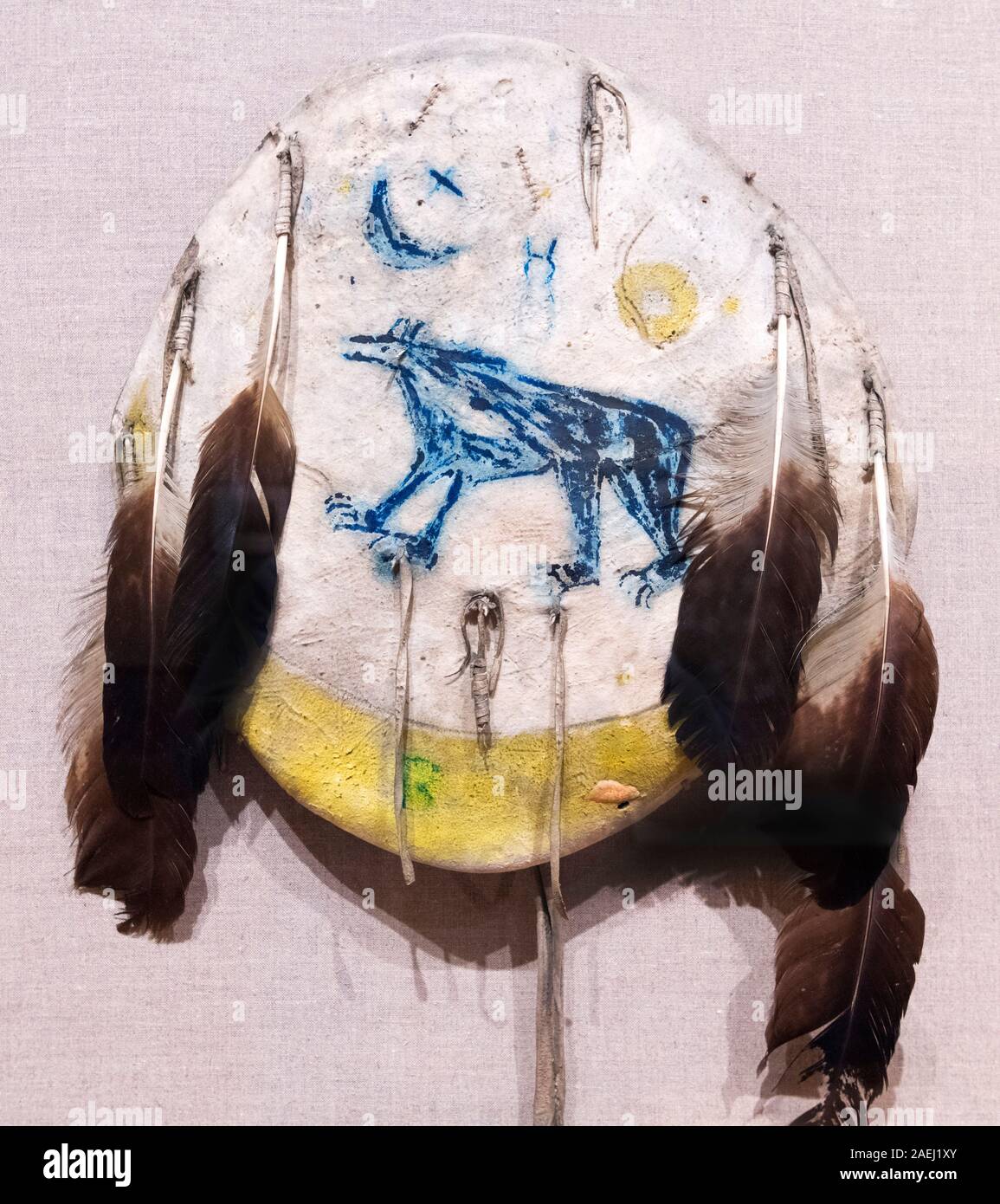 Escudo de nativos americanos, indios de las Llanuras, de finales del siglo XIX, pintura y plumas en ocultar. Foto de stock