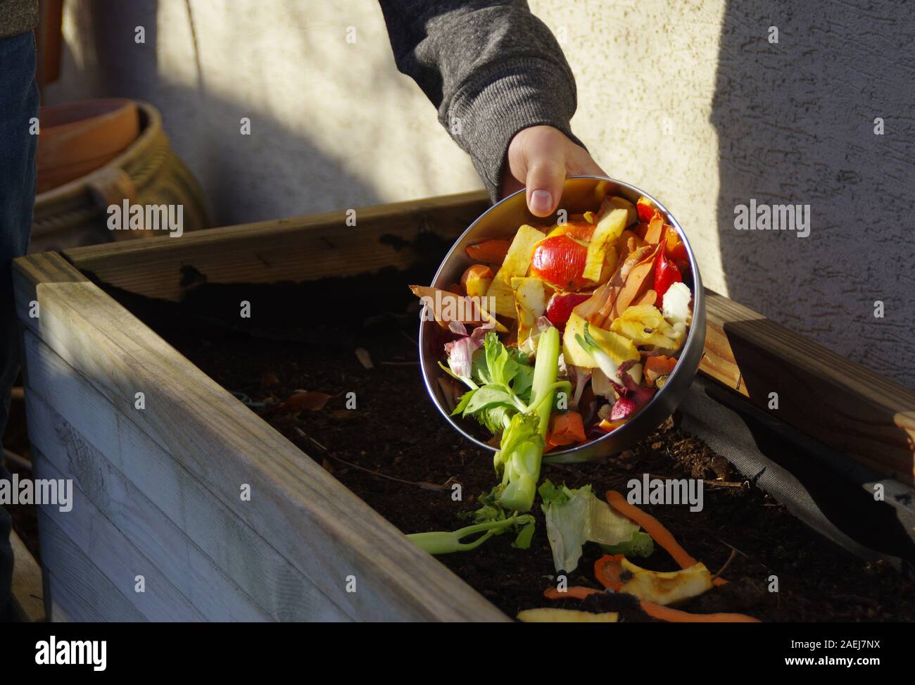 Suministro de compost ecología - Reciclaje de residuos de cocina en el patio de compostaje. Estilo de vida respetuoso con el medio ambiente. El hombre genera sobras de verduras de th Foto de stock