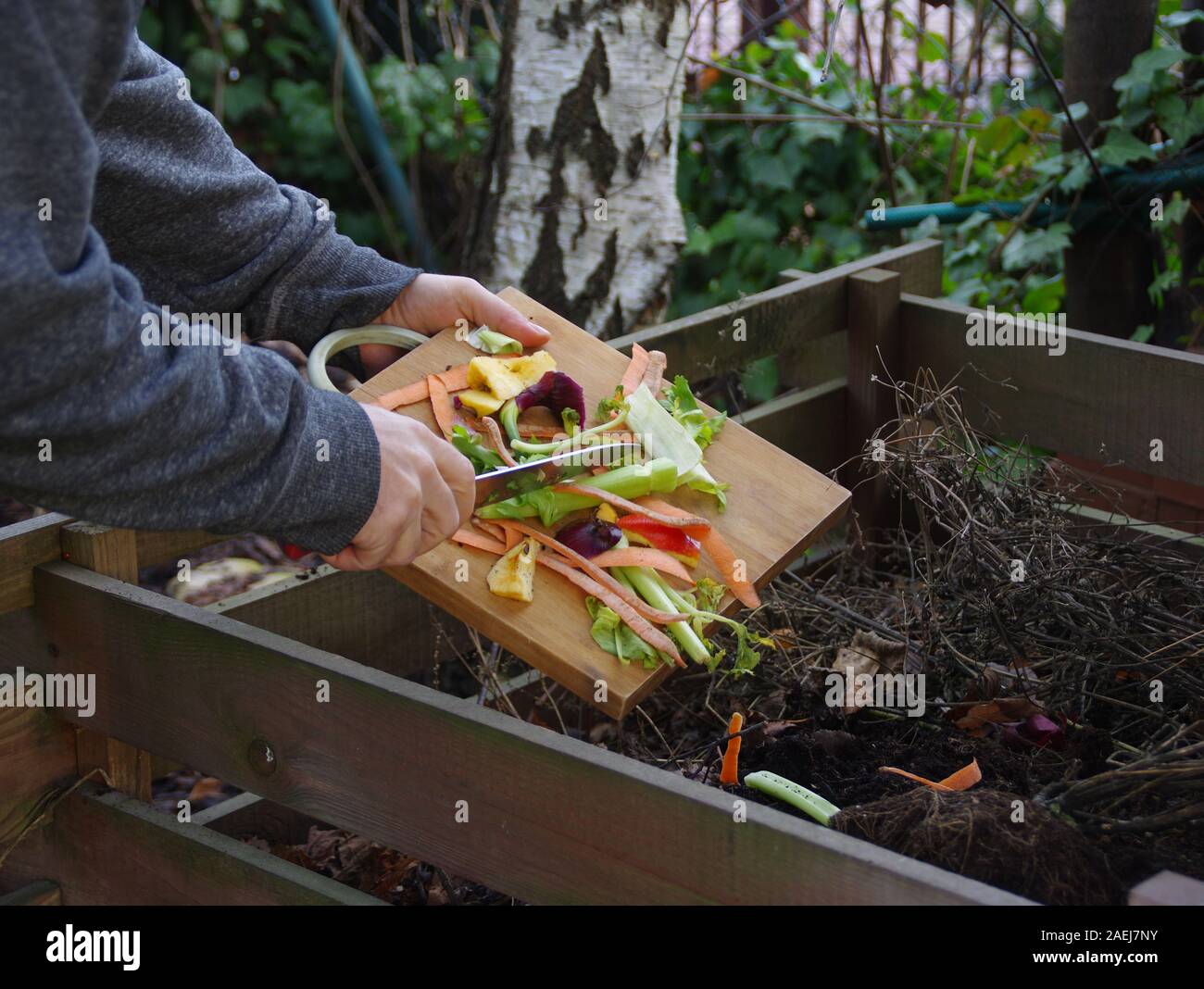 Suministro de compost ecología - Reciclaje de residuos de cocina en el patio de compostaje. El hombre genera sobras de verduras de la placa de corte. Ambientalmente fri Foto de stock
