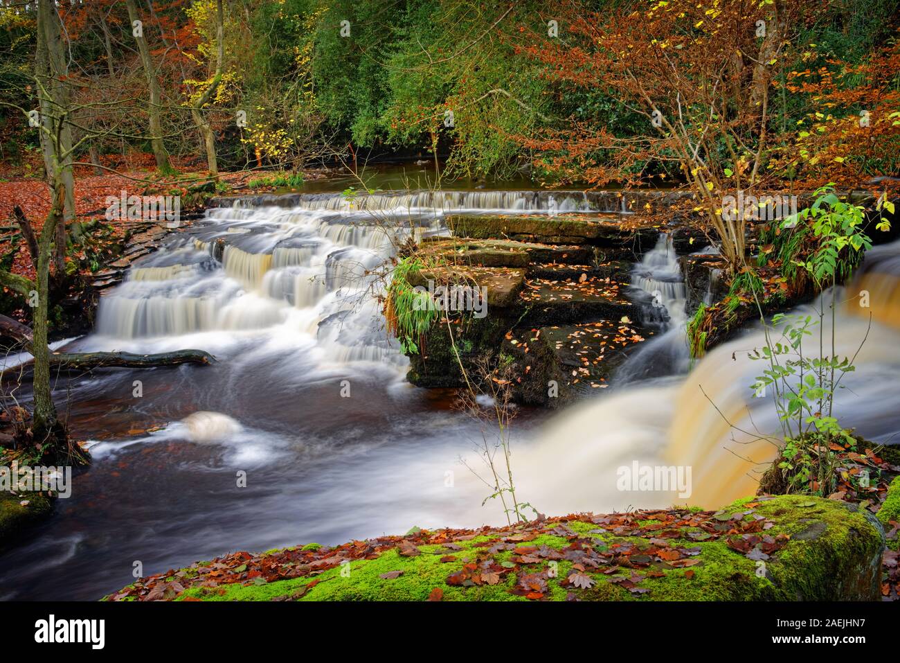 Reino Unido,South Yorkshire,Sheffield,Río,Tercera Rivelin sotobosque Rueda en otoño Foto de stock