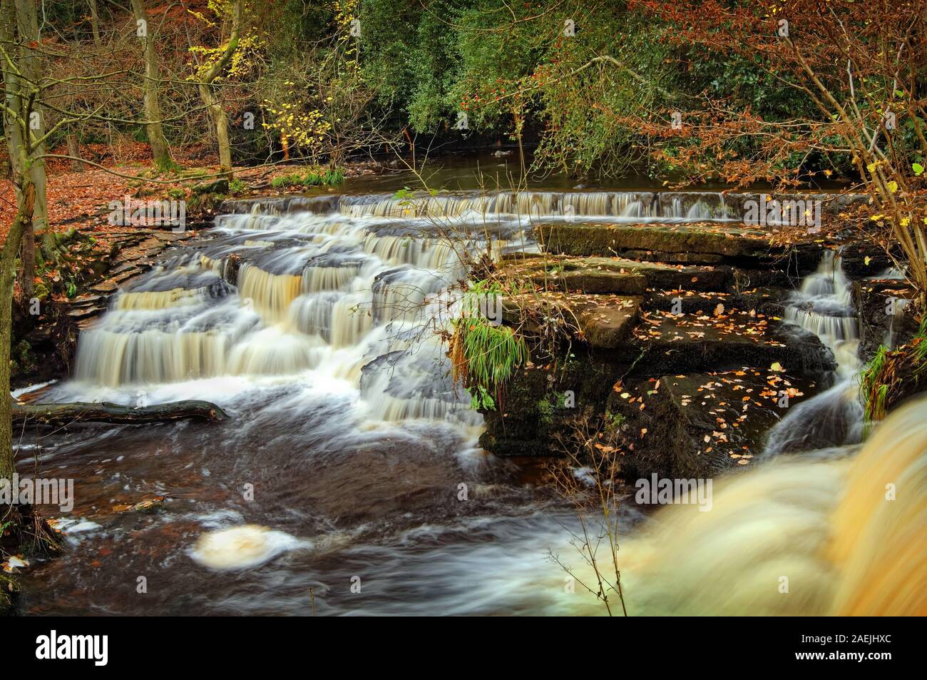 Reino Unido,South Yorkshire,Sheffield,Río,Tercera Rivelin sotobosque Rueda en otoño Foto de stock