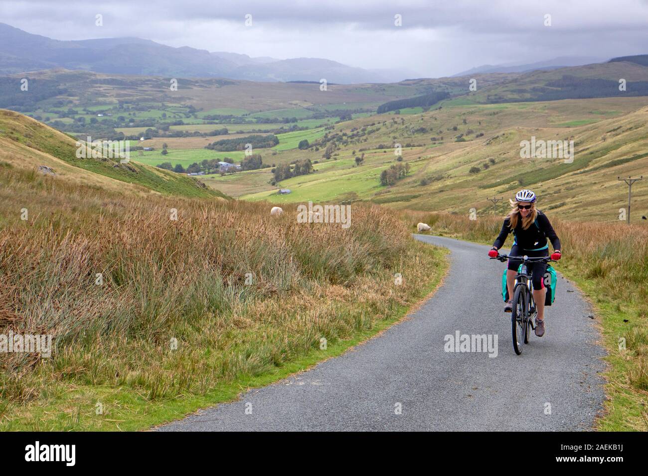 Cerca de ciclismo en la Liga en Dolgellau Lon Cymru ciclopista Foto de stock