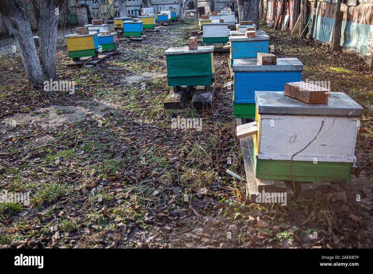 Pintura Colmenas con diferentes colores para orientar mejor las abejas al  regresar a casa. Monocasco en antiguas colmenas apiario en Ucrania  Fotografía de stock - Alamy