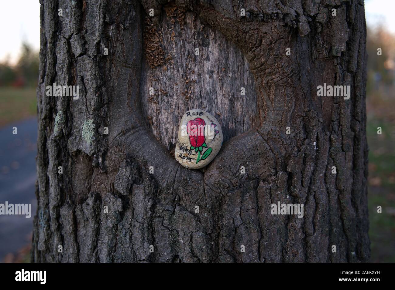 Recordando a un ser querido fallecido fotografías e imágenes de alta  resolución - Alamy