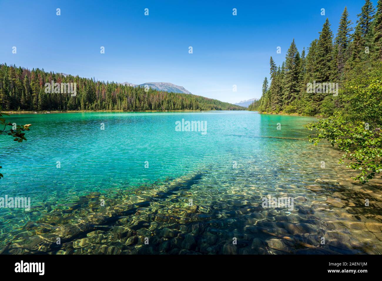 Turquesa del lago, el Valle de los cinco lagos, el Parque Nacional de Jasper, montañas, Alberta, Canadá Foto de stock