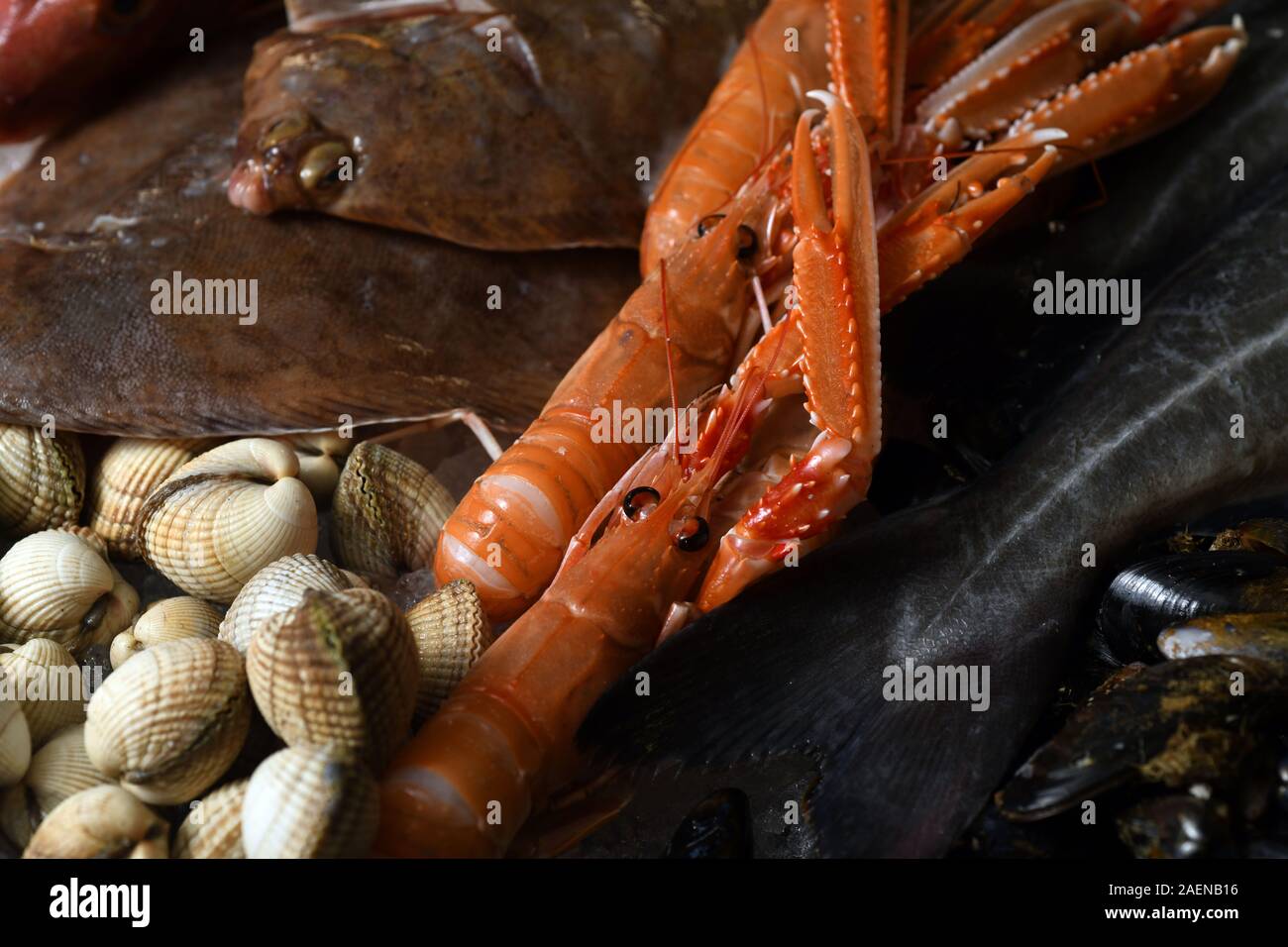Cangrejo fresco y berberechos en la pantalla en pescaderías. Foto de stock