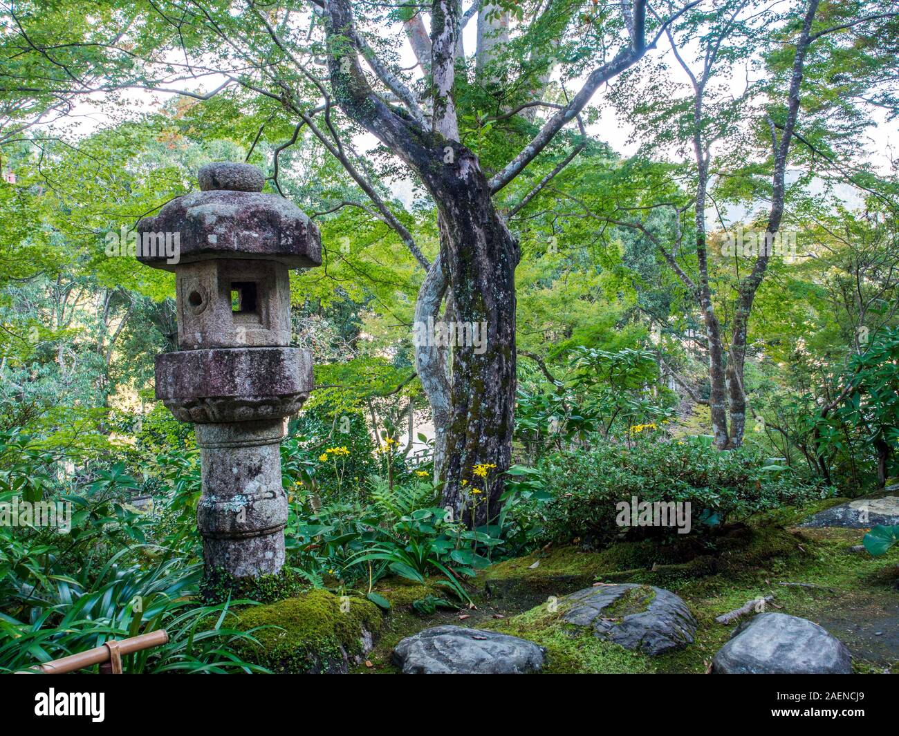 Jardín japonés, de hojas verdes y rocas, troncos de árboles y linterna de piedra, Garyusanso ishidoro, Ozu, Ehime, Shikoku, Japón Foto de stock