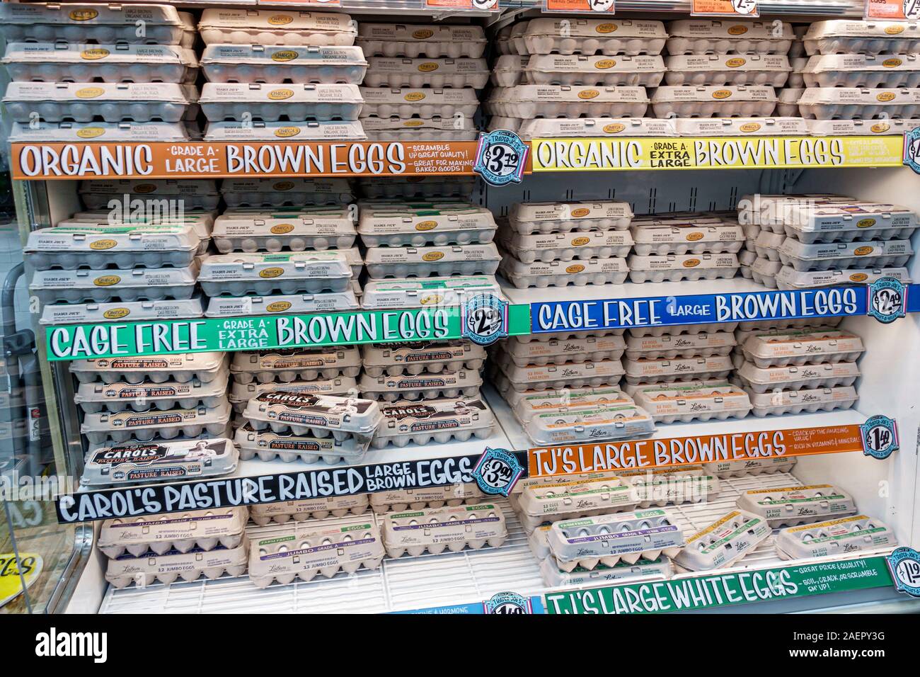 Miami Beach Florida, Trader Joe's, supermercado, tiendas, interior, huevos, cajas de huevo, orgánico, jaula libre, marrón, pastos criados, displ Foto de stock