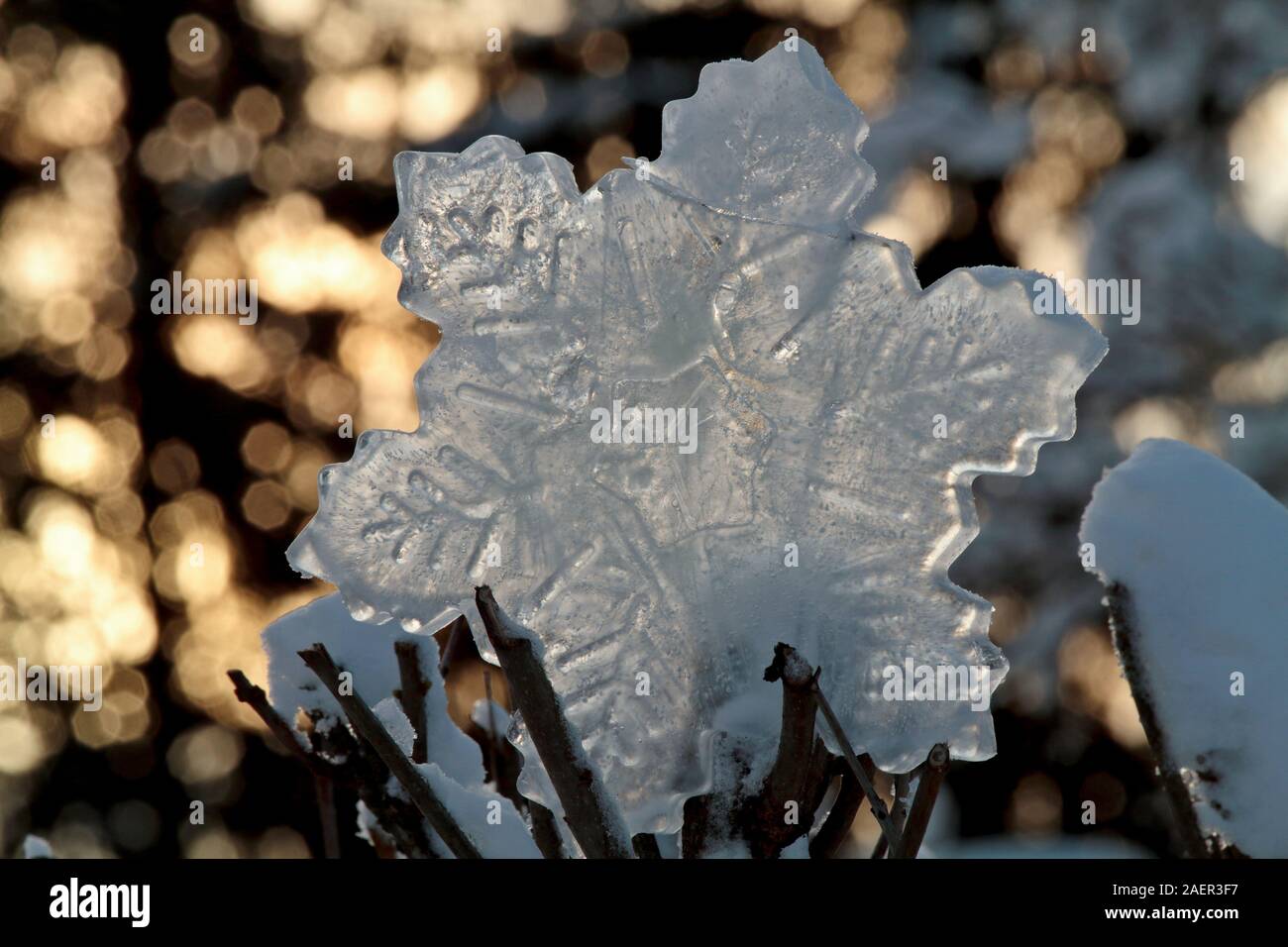 Molde para hielo fotografías e imágenes de alta resolución - Alamy