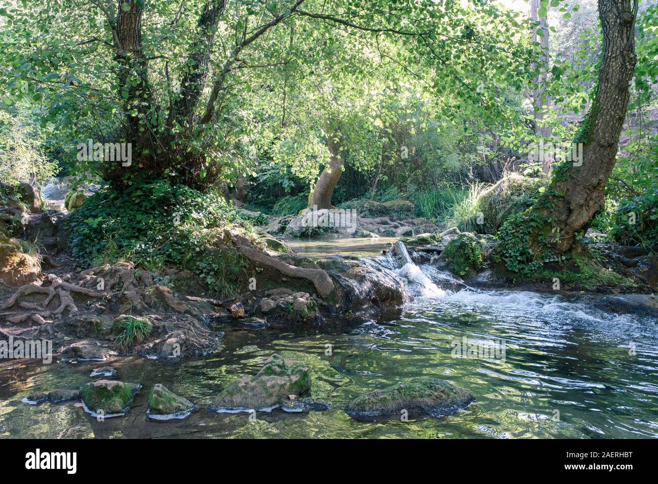 Selva en Galería cruzó por stream en otoño y cascadas del martinete Sierra  Norte de la provincia de Sevilla, España Fotografía de stock - Alamy