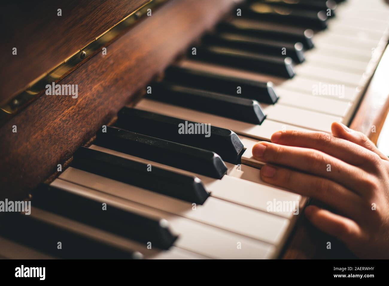 Cerca de los dedos de la mano de un niño descansando sobre las teclas del piano. Foto de stock
