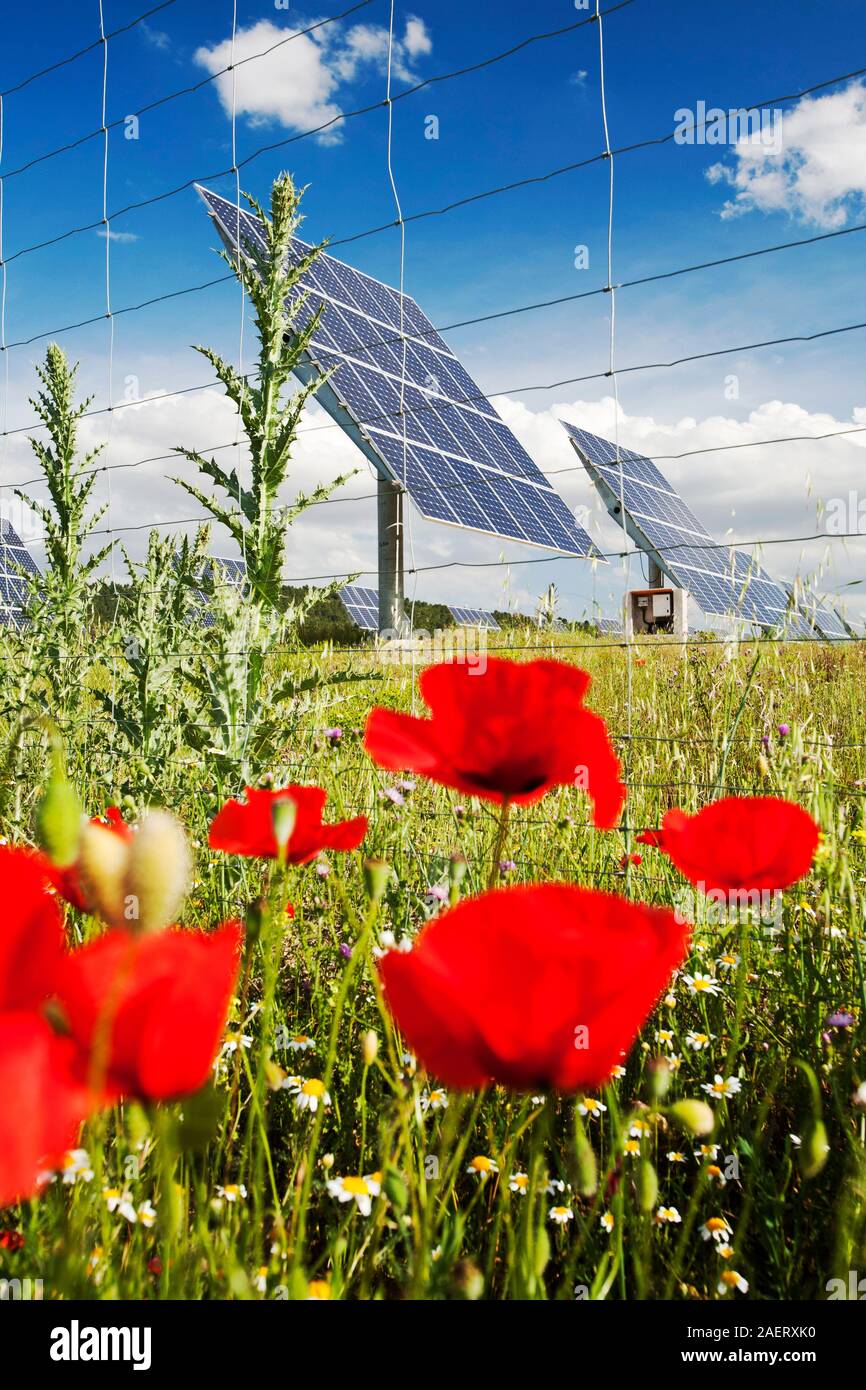 Una estación de energía solar fotovoltaicos cerca de Caravaca, Andalucia, España, con flores silvestres. Foto de stock