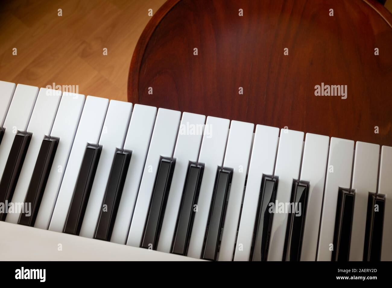 Cerrar detalles sobre el blanco y negro de las teclas de un teclado de música, con copia espacio para el texto Foto de stock