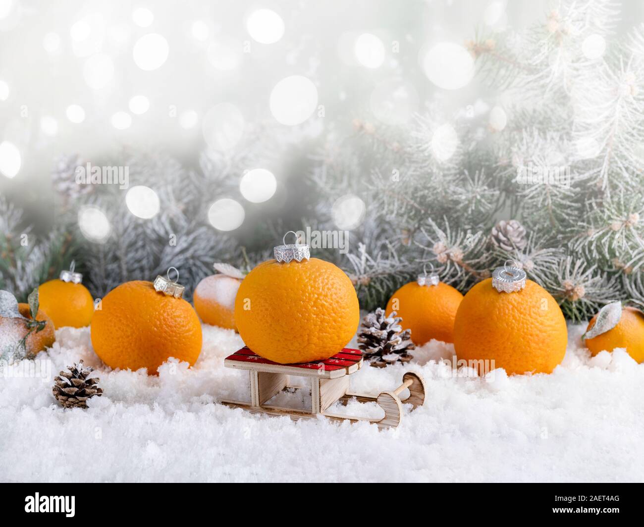 Composición decorativa de decoraciones de Navidad hechas de mandarinas en la blanca nieve. Mandarín en el centro del trineo de Santa Claus. Resumen Antecedentes wi Foto de stock