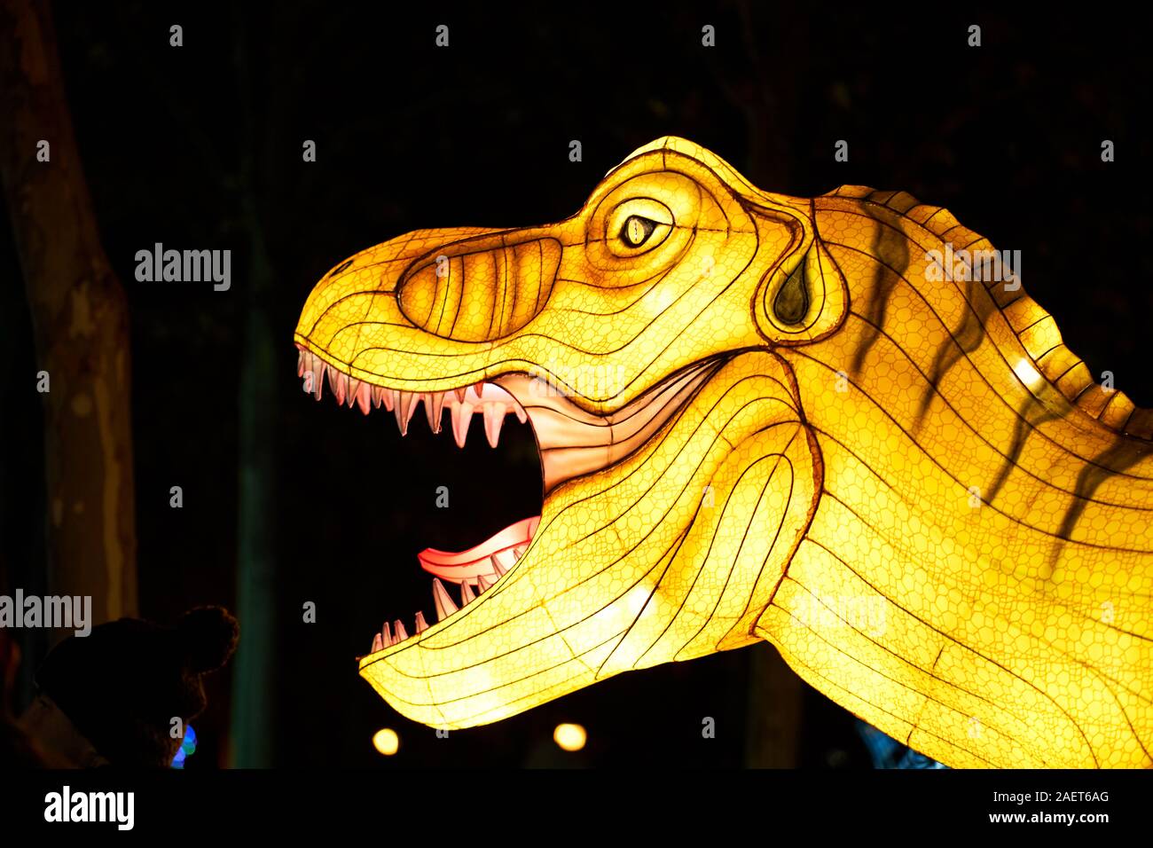 Christmas tyrannosaurus fotografías e imágenes de alta resolución - Alamy