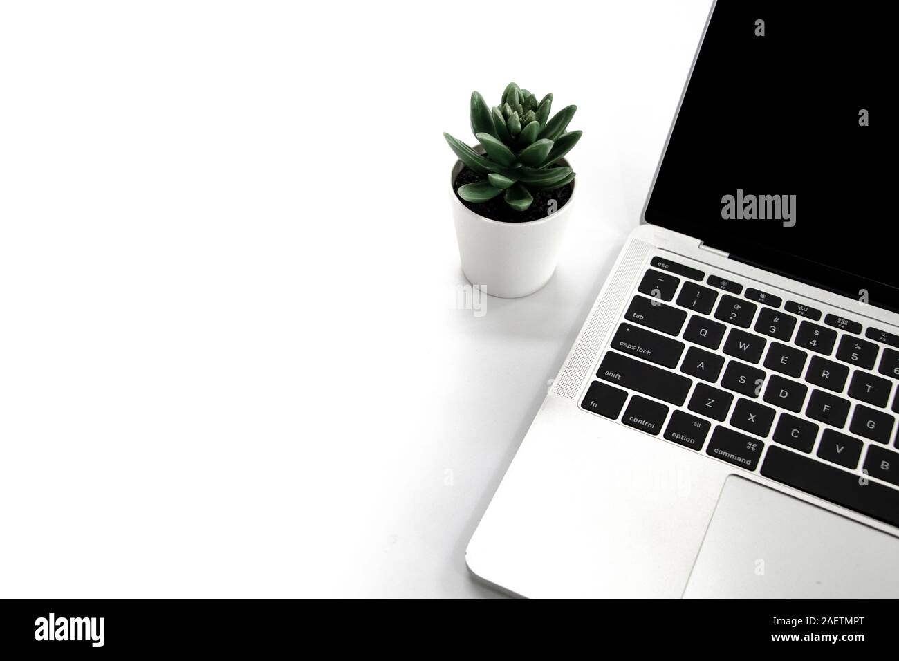 Laptop en mostrador blanco decorar con una pequeña planta verde. Copia  libre el espacio a la izquierda del texto o diseño. Flay laical Fotografía  de stock - Alamy