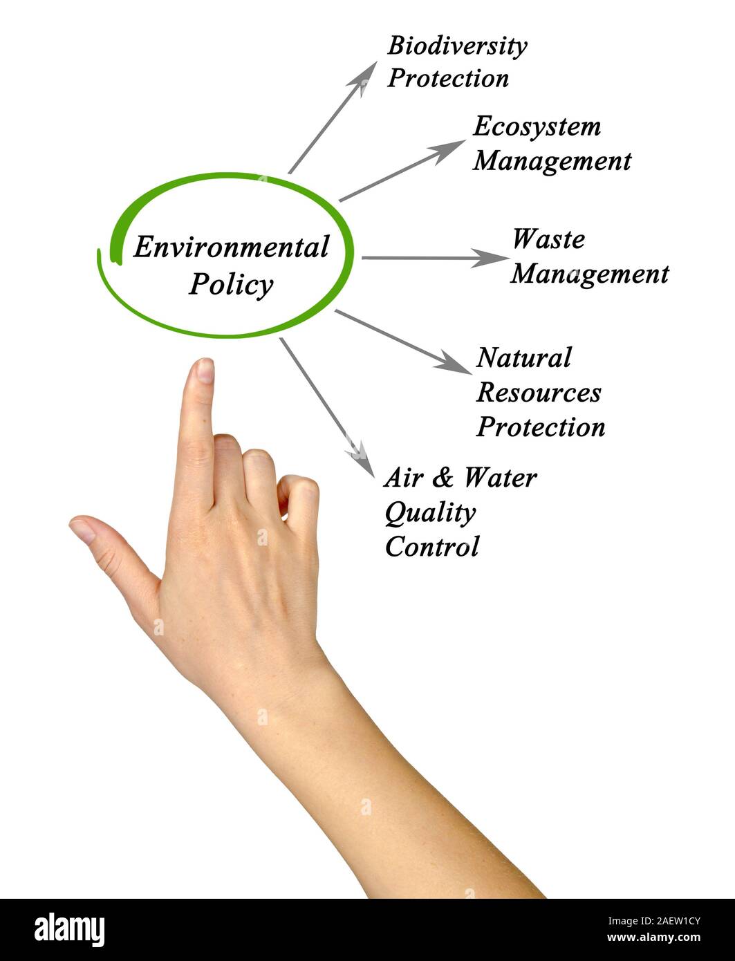 Esquema de la política medioambiental Foto de stock