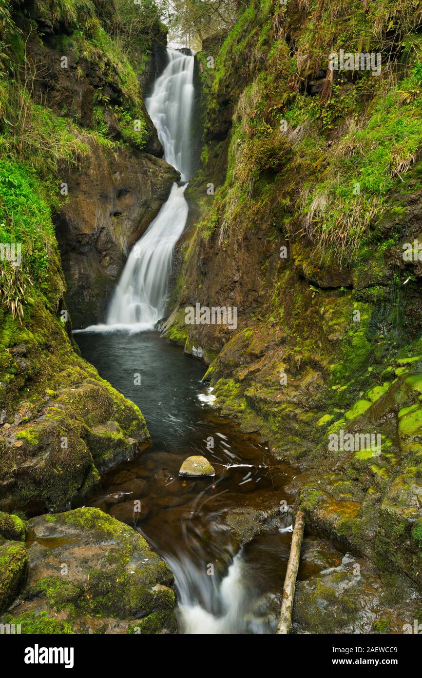 La cascada de Laragh Ess-Na-Glenariff Forest Park en el norte de Irlanda. Foto de stock
