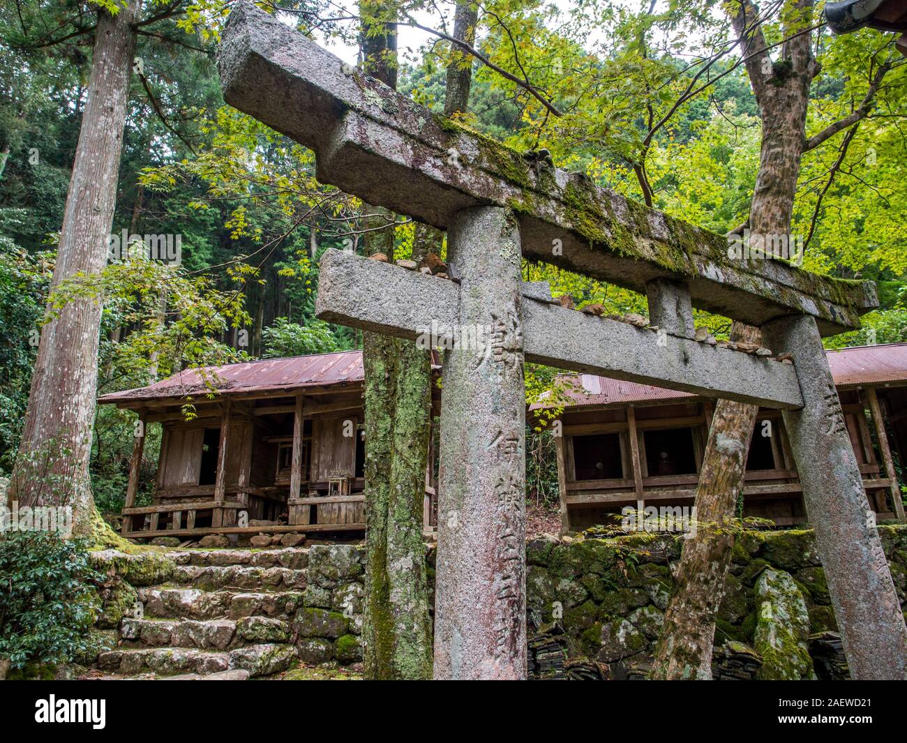 Puerta torii y escalones de piedra, fila de auxiliar setsumatsusha santuarios sintoístas, en Meisekiji, templo 43 de 88 Templo de peregrinación de Shikoku, Ehime, Shikoku, Foto de stock