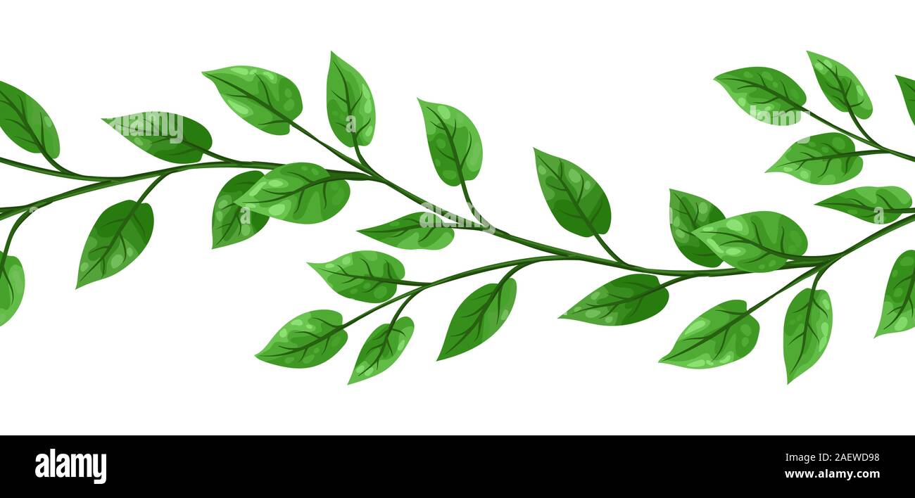 Liana patrón sin fisuras. Plantas enredaderas con hojas verdes Imagen  Vector de stock - Alamy