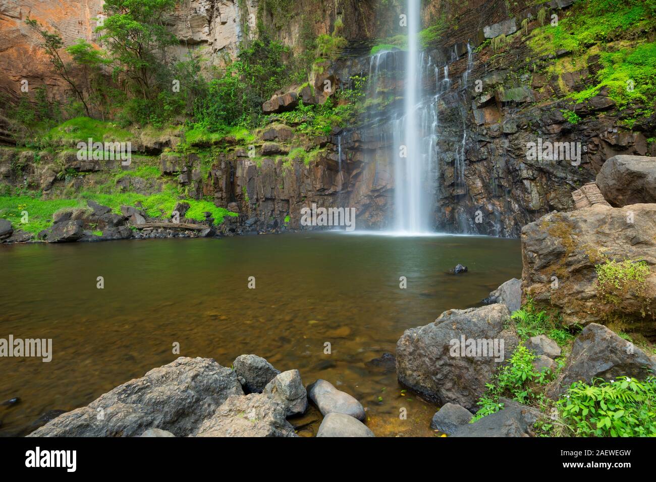 La Lone Creek Falls, una de las paradas a lo largo de la ruta panorámica cerca del el cañón del río Blyde en Sudáfrica. Foto de stock